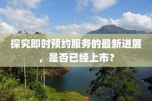 探究即時預約服務的最新進展，是否已經上市？