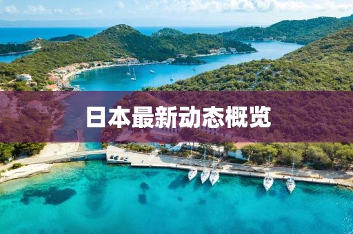 日本最新動(dòng)態(tài)概覽