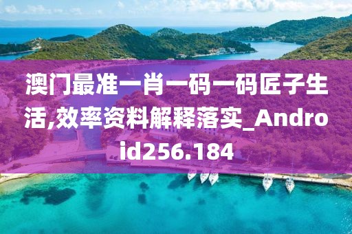 澳門最準(zhǔn)一肖一碼一碼匠子生活,效率資料解釋落實_Android256.184