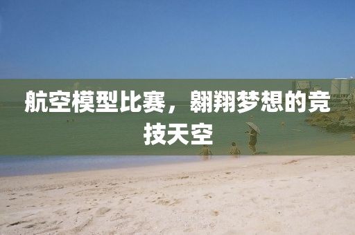 航空模型比賽，翱翔夢(mèng)想的競(jìng)技天空