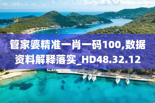 管家婆精準一肖一碼100,數(shù)據(jù)資料解釋落實_HD48.32.12