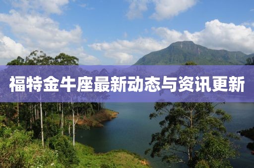 福特金牛座最新動態(tài)與資訊更新