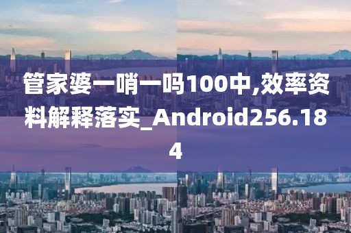 管家婆一哨一嗎100中,效率資料解釋落實_Android256.184