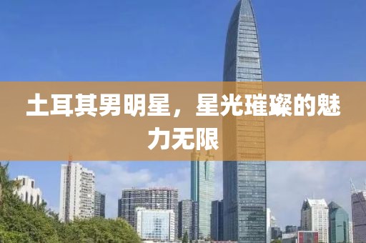土耳其男明星，星光璀璨的魅力無(wú)限