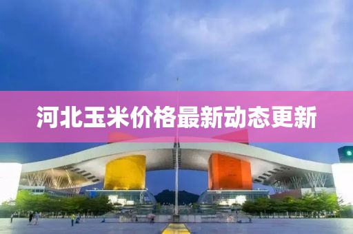 河北玉米價格最新動態(tài)更新