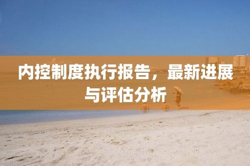 內(nèi)控制度執(zhí)行報(bào)告，最新進(jìn)展與評估分析