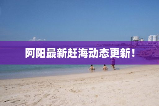 阿陽(yáng)最新趕海動(dòng)態(tài)更新！