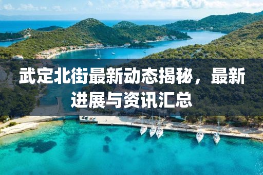 武定北街最新動(dòng)態(tài)揭秘，最新進(jìn)展與資訊匯總