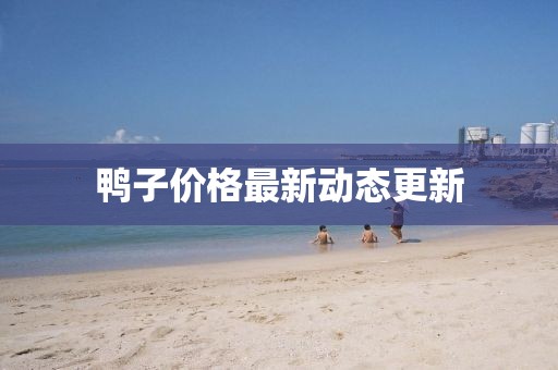 鴨子價格最新動態(tài)更新
