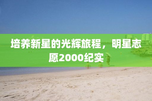 培養(yǎng)新星的光輝旅程，明星志愿2000紀實