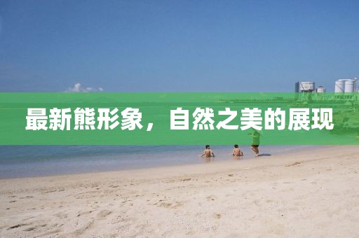 最新熊形象，自然之美的展現(xiàn)