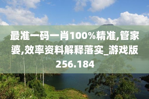 最準(zhǔn)一碼一肖100%精準(zhǔn),管家婆,效率資料解釋落實(shí)_游戲版256.184