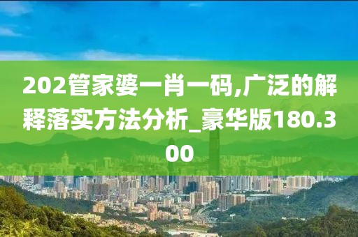 202管家婆一肖一碼,廣泛的解釋落實(shí)方法分析_豪華版180.300