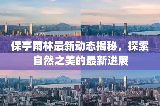 保亭雨林最新動(dòng)態(tài)揭秘，探索自然之美的最新進(jìn)展