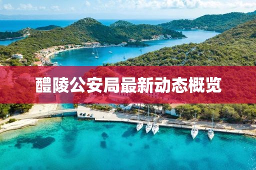 醴陵公安局最新動(dòng)態(tài)概覽