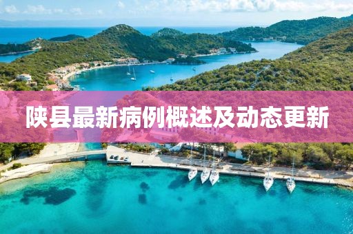 陜縣最新病例概述及動(dòng)態(tài)更新