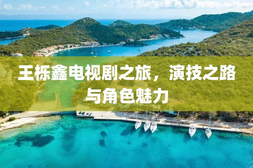 王櫟鑫電視劇之旅，演技之路與角色魅力