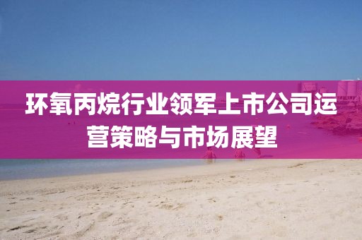 環(huán)氧丙烷行業(yè)領(lǐng)軍上市公司運(yùn)營策略與市場展望