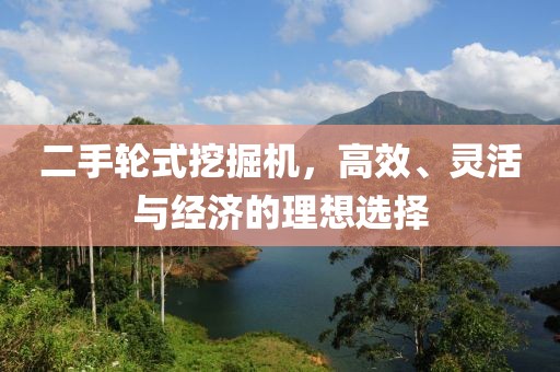 二手輪式挖掘機(jī)，高效、靈活與經(jīng)濟(jì)的理想選擇