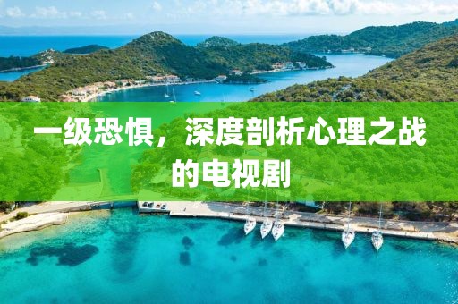 一級(jí)恐懼，深度剖析心理之戰(zhàn)的電視劇