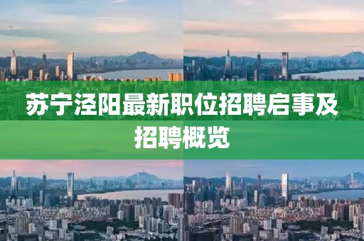 蘇寧涇陽最新職位招聘啟事及招聘概覽