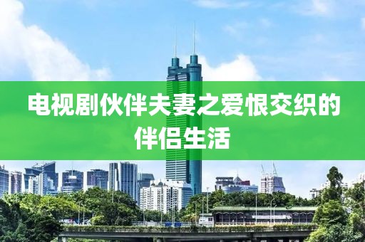 電視劇伙伴夫妻之愛恨交織的伴侶生活