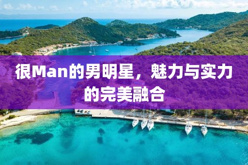 很Man的男明星，魅力與實力的完美融合