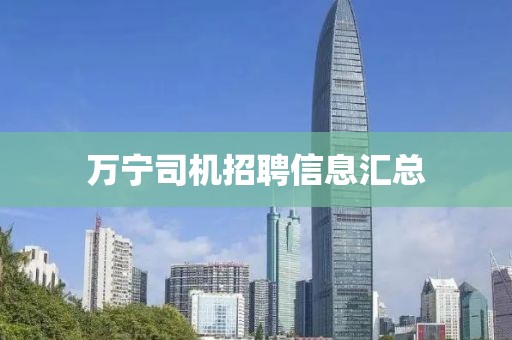萬寧司機招聘信息匯總