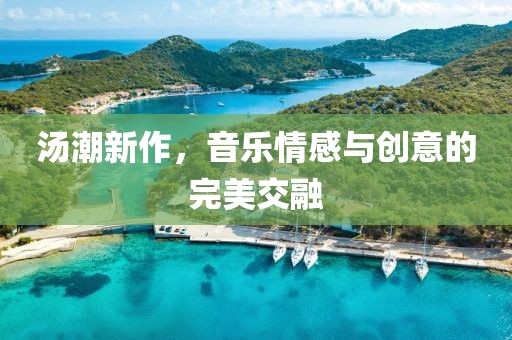 湯潮新作，音樂情感與創(chuàng)意的完美交融