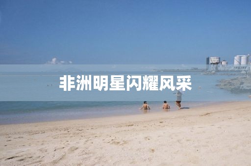非洲明星閃耀風采