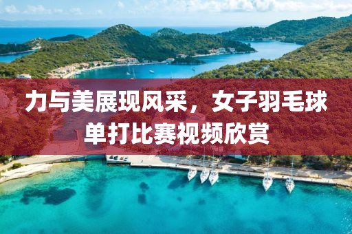 力與美展現(xiàn)風(fēng)采，女子羽毛球單打比賽視頻欣賞