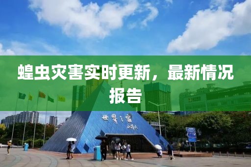 蝗蟲災(zāi)害實時更新，最新情況報告
