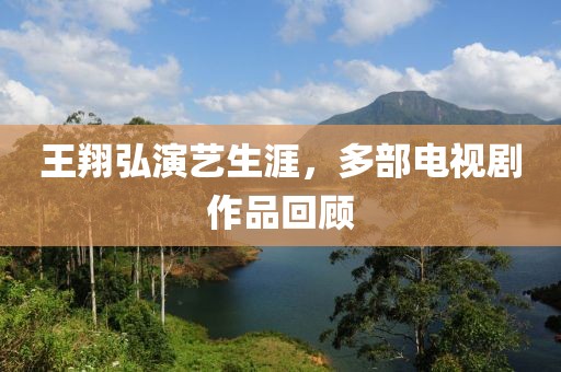 王翔弘演藝生涯，多部電視劇作品回顧