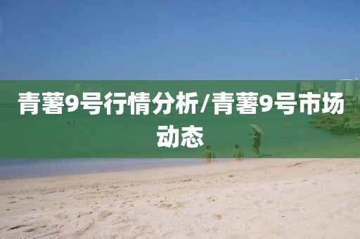 青薯9號行情分析/青薯9號市場動態(tài)