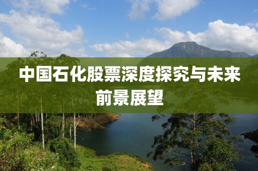 中國(guó)石化股票深度探究與未來(lái)前景展望