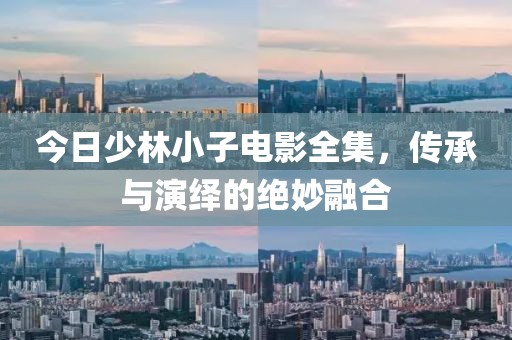 今日少林小子電影全集，傳承與演繹的絕妙融合