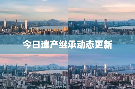 今日遺產(chǎn)繼承動態(tài)更新