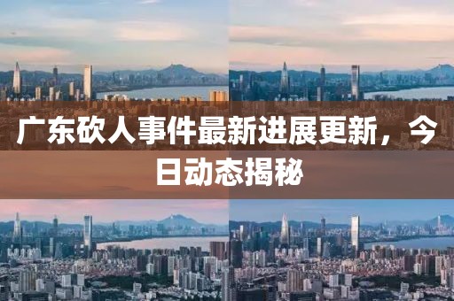 廣東砍人事件最新進(jìn)展更新，今日動(dòng)態(tài)揭秘