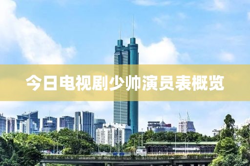 今日電視劇少帥演員表概覽