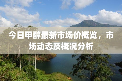 今日甲醇最新市場(chǎng)價(jià)概覽，市場(chǎng)動(dòng)態(tài)及概況分析