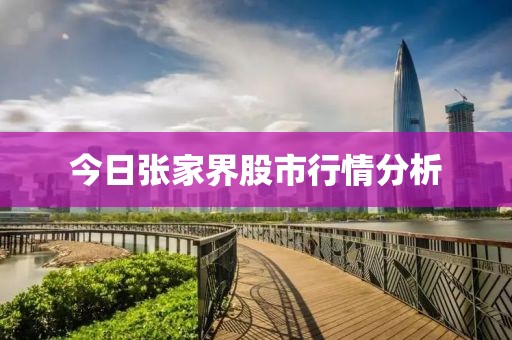 今日張家界股市行情分析