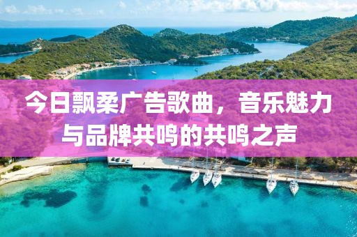 今日飄柔廣告歌曲，音樂魅力與品牌共鳴的共鳴之聲