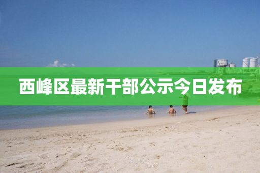 西峰區(qū)最新干部公示今日發(fā)布