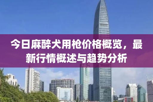 今日麻醉犬用槍價格概覽，最新行情概述與趨勢分析