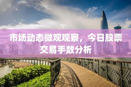 市場動態(tài)微觀觀察，今日股票交易手數(shù)分析