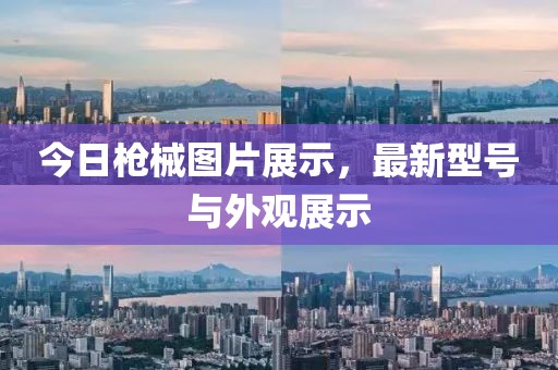 今日槍械圖片展示，最新型號與外觀展示