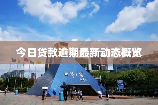 今日貸款逾期最新動(dòng)態(tài)概覽