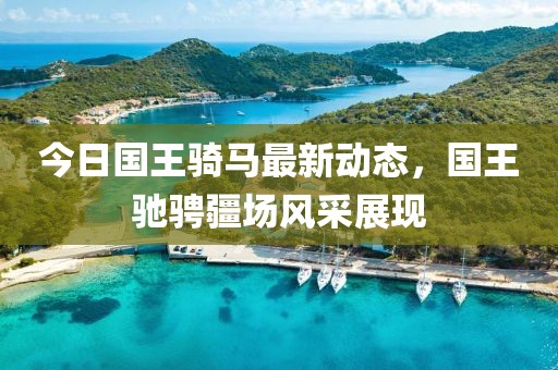 今日國王騎馬最新動態(tài)，國王馳騁疆場風采展現(xiàn)