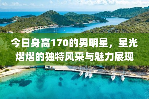 今日身高170的男明星，星光熠熠的獨特風(fēng)采與魅力展現(xiàn)