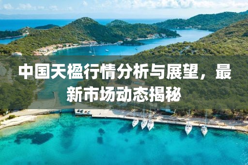 中國天楹行情分析與展望，最新市場動(dòng)態(tài)揭秘
